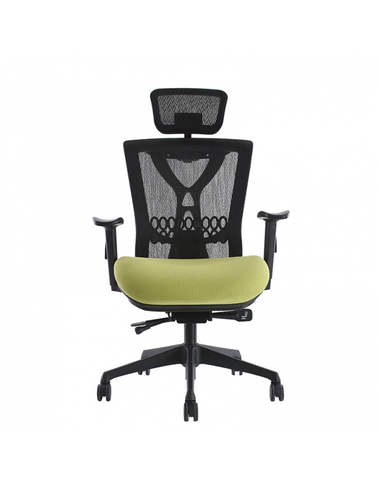 Sillón ejecutivo con respaldo de malla y asiento acoginado modelo BM 9520