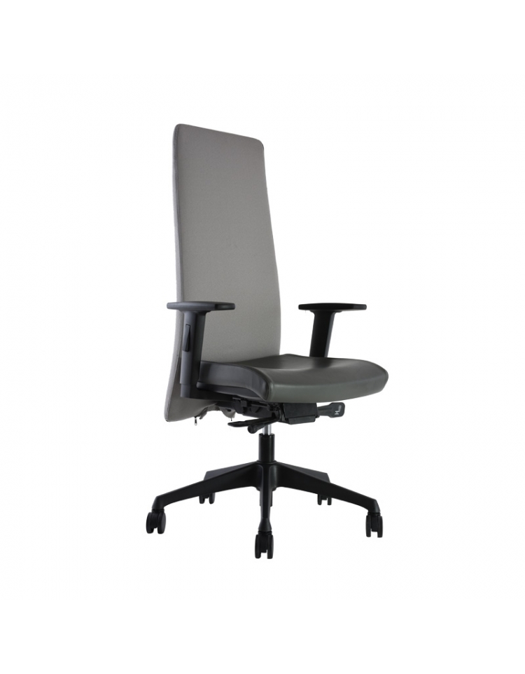 Sillón operativo para direccion modelo BM 3000